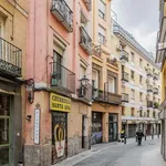 Rent 1 bedroom apartment of 49 m² in madrid