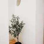 Rent 1 bedroom apartment in Lisbon