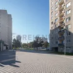 Rent 1 bedroom apartment of 12 m² in Pardubice