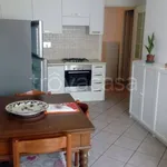 Rent 1 bedroom apartment of 40 m² in Prato