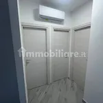 Rent 3 bedroom apartment of 45 m² in Pisa