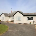 Detached bungalow to rent in Wethersfield Road, Finchingfield, Braintree CM7