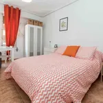 Rent 5 bedroom apartment in Valencia