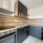 Pronajměte si 1 ložnic/e byt o rozloze 102 m² v Prague