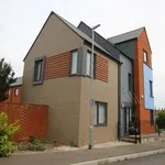 Detached house to rent in Scholars Way, Ashford TN23