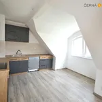 Rent 1 bedroom apartment of 55 m² in Ústí nad Labem