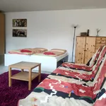 Rent 1 bedroom apartment of 60 m² in Freiburg im Breisgau