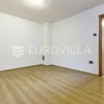 Rent 5 bedroom house of 300 m² in Zagreb