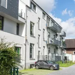 Rent 1 bedroom apartment in Vilvoorde