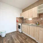 Rent 2 bedroom apartment of 40 m² in Duchcov