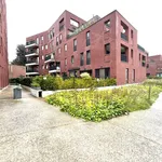 Rent 1 bedroom apartment in Turnhout