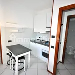 Rent 1 bedroom apartment of 30 m² in Novara