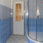 Rent 1 bedroom apartment in Děčín