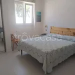 Rent 7 bedroom house of 75 m² in Avetrana