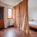 Rent a room of 130 m² in Prague