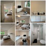 Rent 1 bedroom apartment of 37 m² in Dortmund