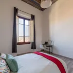 Rent a room in florence