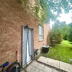 Appartement de 527 m² avec 1 chambre(s) en location à Richmond Hill (Oak Ridges Lake Wilcox)