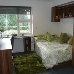 Rent 7 bedroom flat in Plymouth