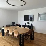 Rent 1 bedroom house of 130 m² in Hradec Králové