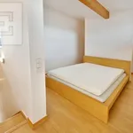 Pronajměte si 4 ložnic/e byt o rozloze 153 m² v Prague