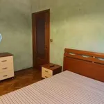 Rent 2 bedroom apartment of 60 m² in Biella