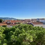 Rent 1 bedroom apartment in Cannes