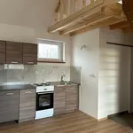 Rent 1 bedroom apartment in Hradec Králové