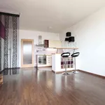 Pronajměte si 1 ložnic/e byt o rozloze 31 m² v Prague