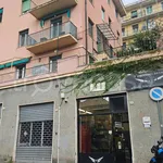 Rent 2 bedroom apartment of 60 m² in Genova