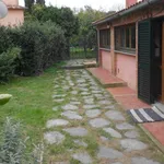 Rent 2 bedroom house of 50 m² in Livorno