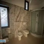 Rent 2 bedroom apartment of 60 m² in Turin