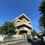 Rent 1 bedroom apartment of 40 m² in Busto Arsizio