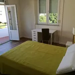 Rent 8 bedroom house in Porto