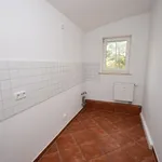 Rent 3 bedroom apartment of 66 m² in Chemnitz