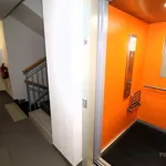 Rent 3 bedroom apartment of 79 m² in Brno