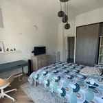 Rent 1 bedroom apartment of 13 m² in Toulon