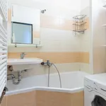 Rent 2 bedroom apartment of 40 m² in Prague