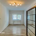 Rent 3 bedroom apartment of 85 m² in Tábor