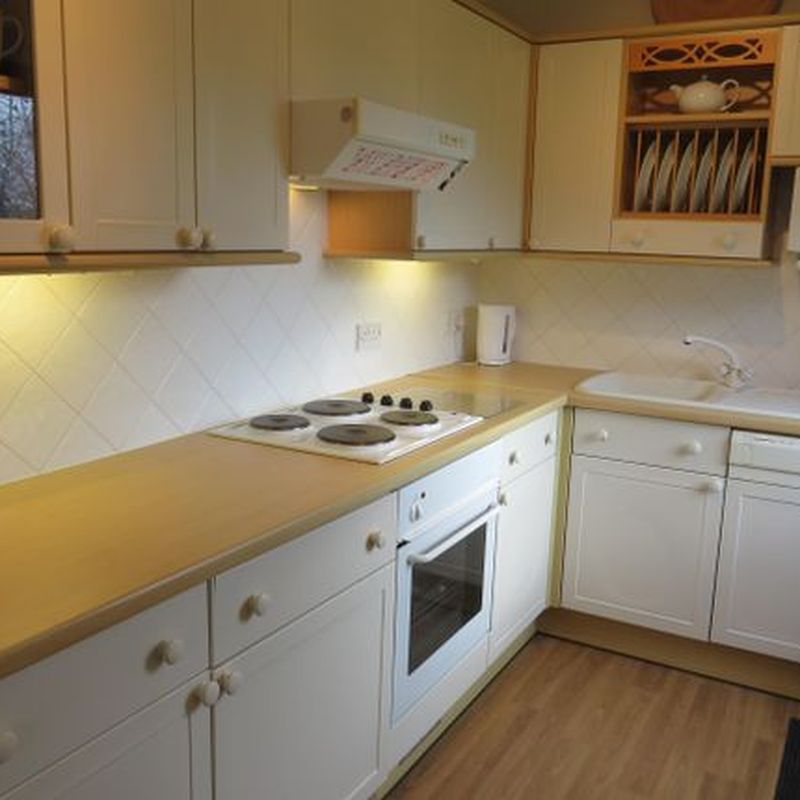 Bungalow to rent in Lynam Road, South Wingfield, Alfreton DE55 Wingfield Park