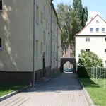 Rent 2 bedroom apartment of 50 m² in Chemnitz