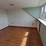 Huur 1 slaapkamer appartement van 20 m² in Tilburg