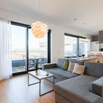 Rent 3 bedroom apartment of 1292 m² in Dresden