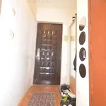 Rent 1 bedroom apartment of 30 m² in Timisoara