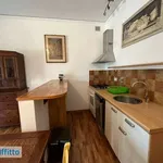 Rent 2 bedroom apartment of 50 m² in Florence