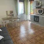 Rent 1 bedroom apartment of 55 m² in Treviso