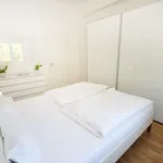 Rent 1 bedroom apartment of 700 m² in Dusseldorf