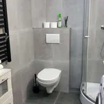 Pronajměte si 1 ložnic/e byt o rozloze 45 m² v prague