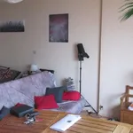 Appartement de 32 m² avec 1 chambre(s) en location à Bellevigne-en-Layon