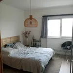 Huur 1 slaapkamer appartement in Hasselt